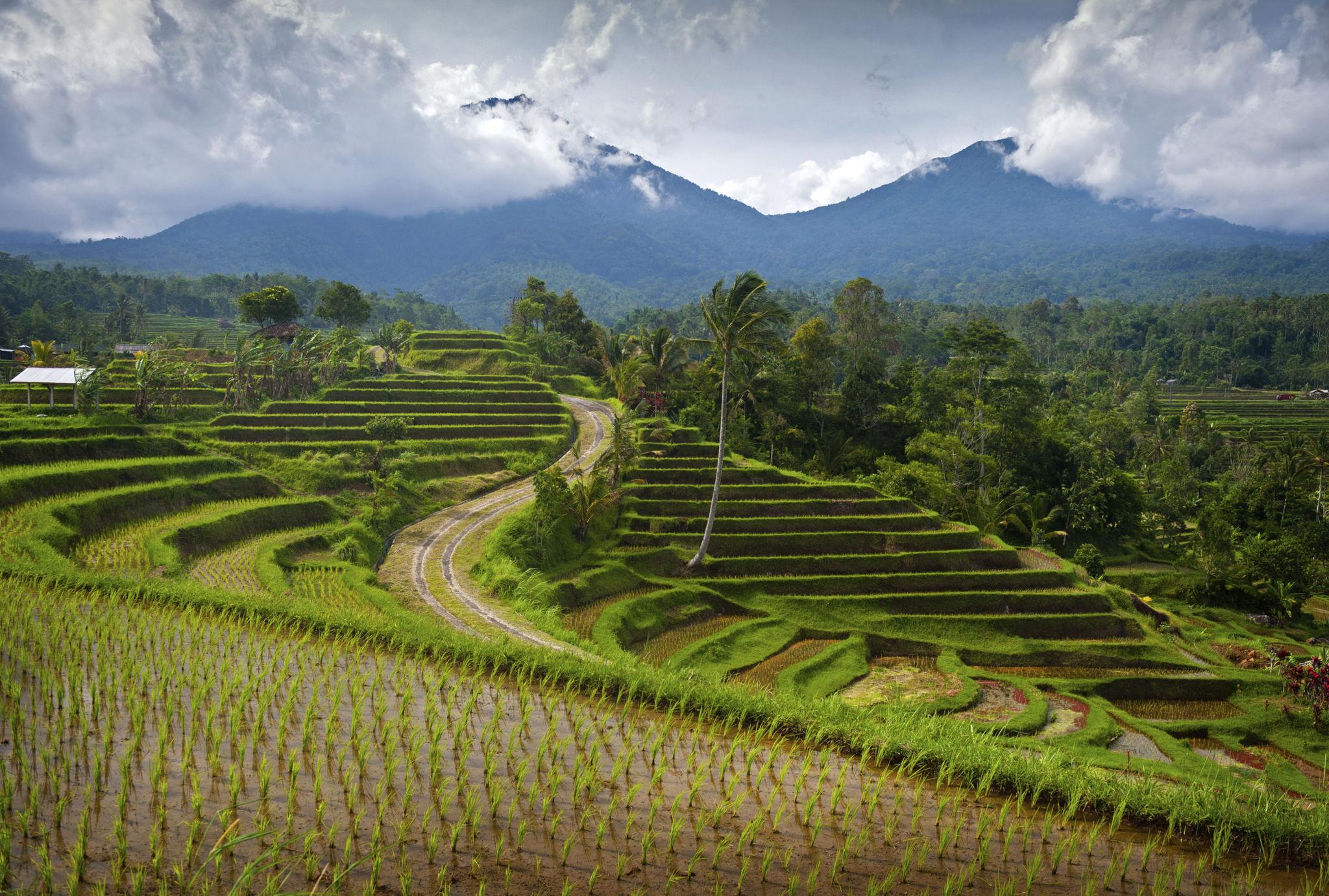 Bali Family Packages