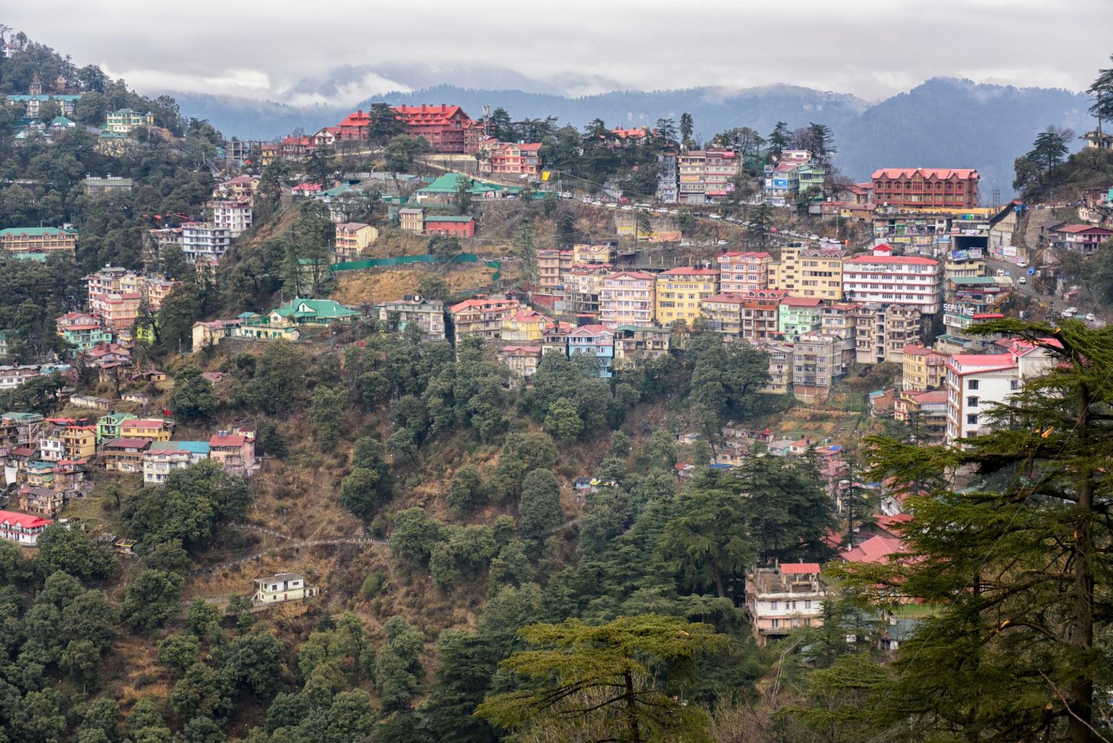 Shimla & Manali Tour