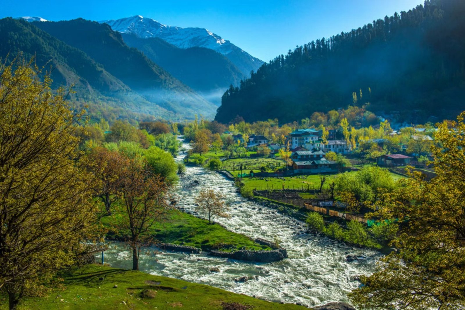 Stunning Mughal Gardens in Kashmir
