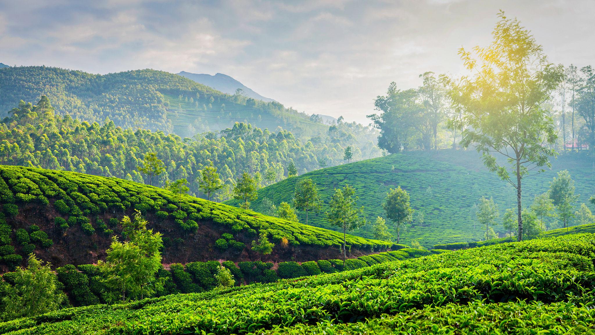 Kerala Package For 5 Nights