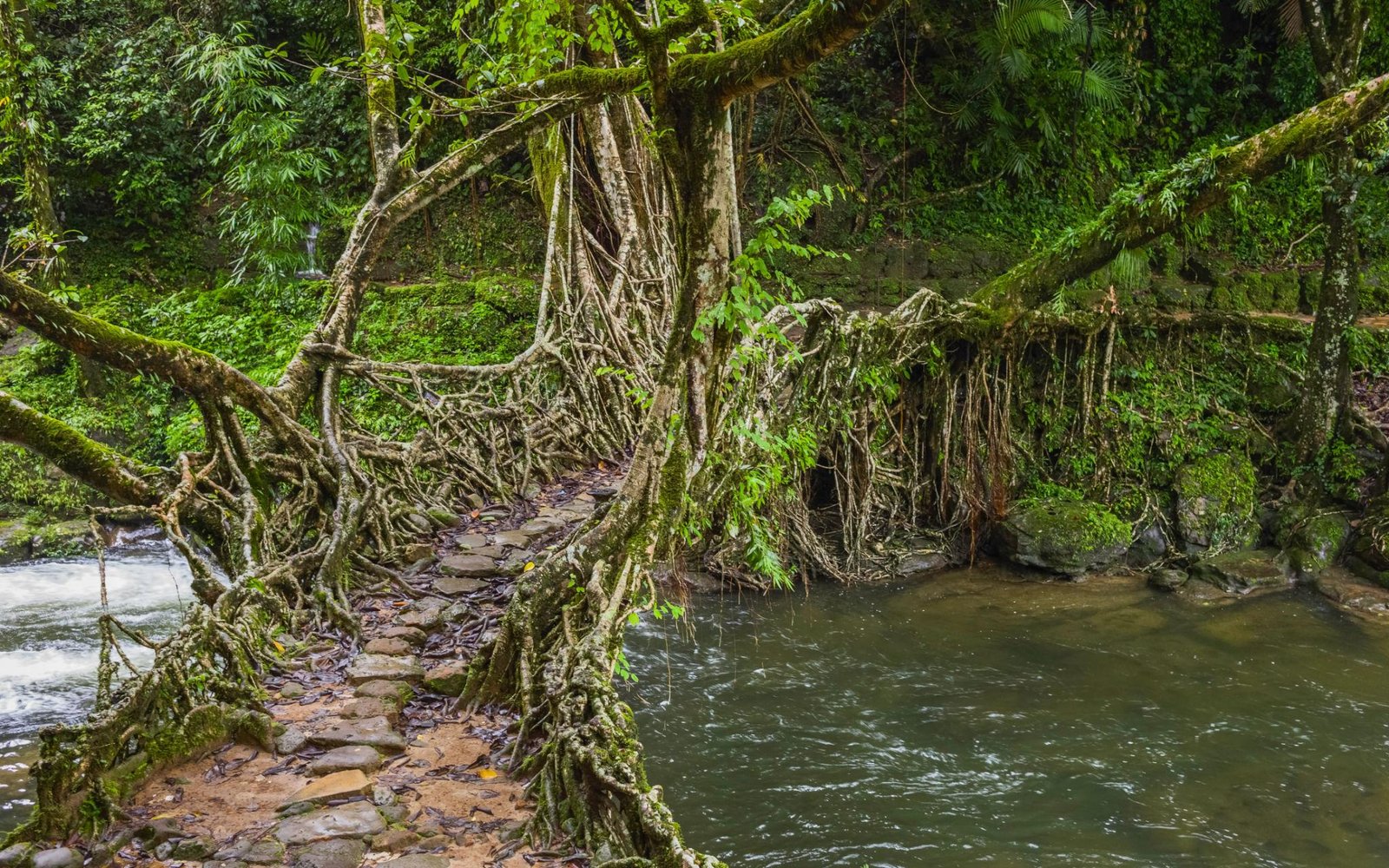 4 Days Shillong Tour Package
