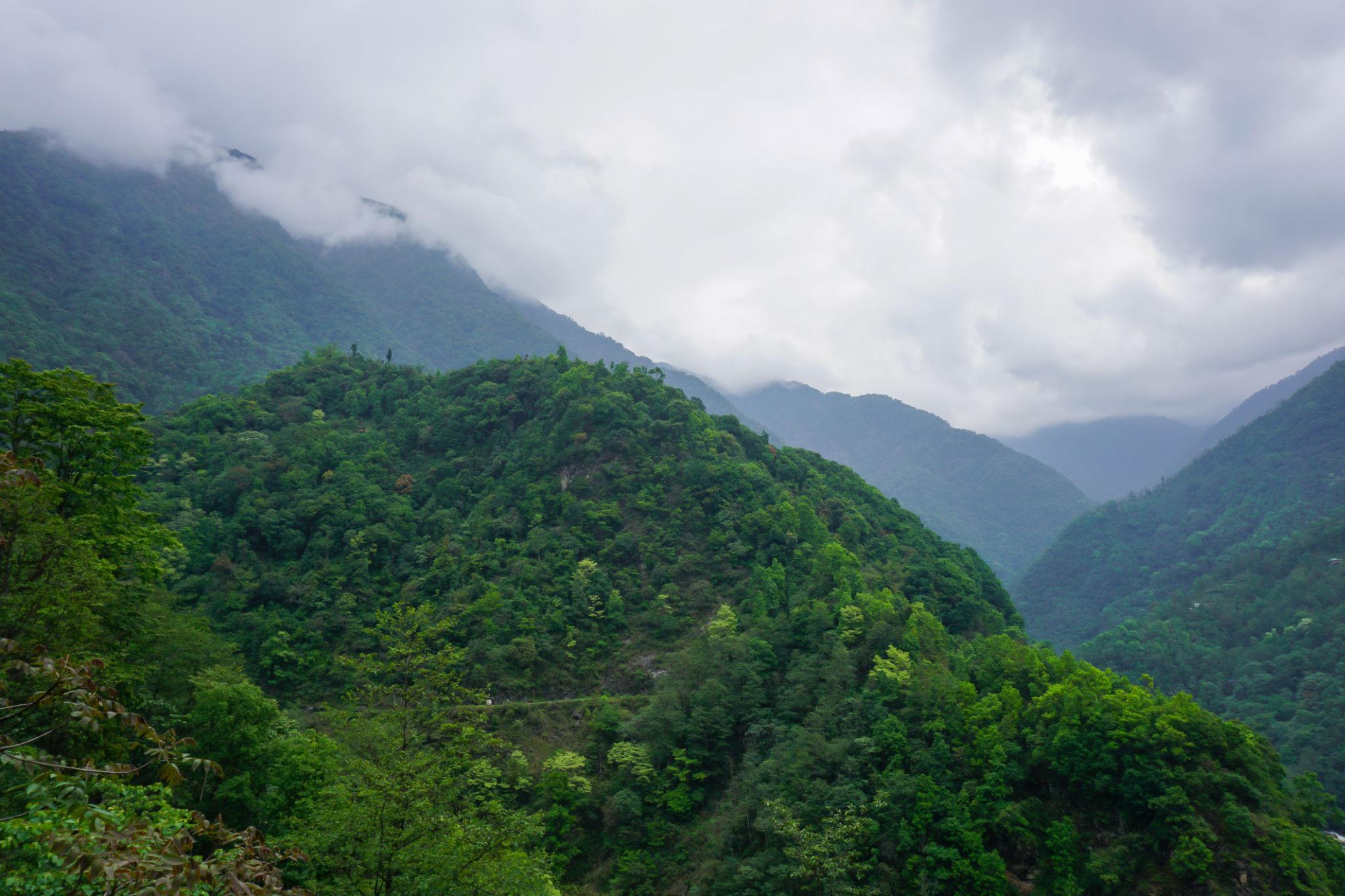 Sikkim Tour Packages