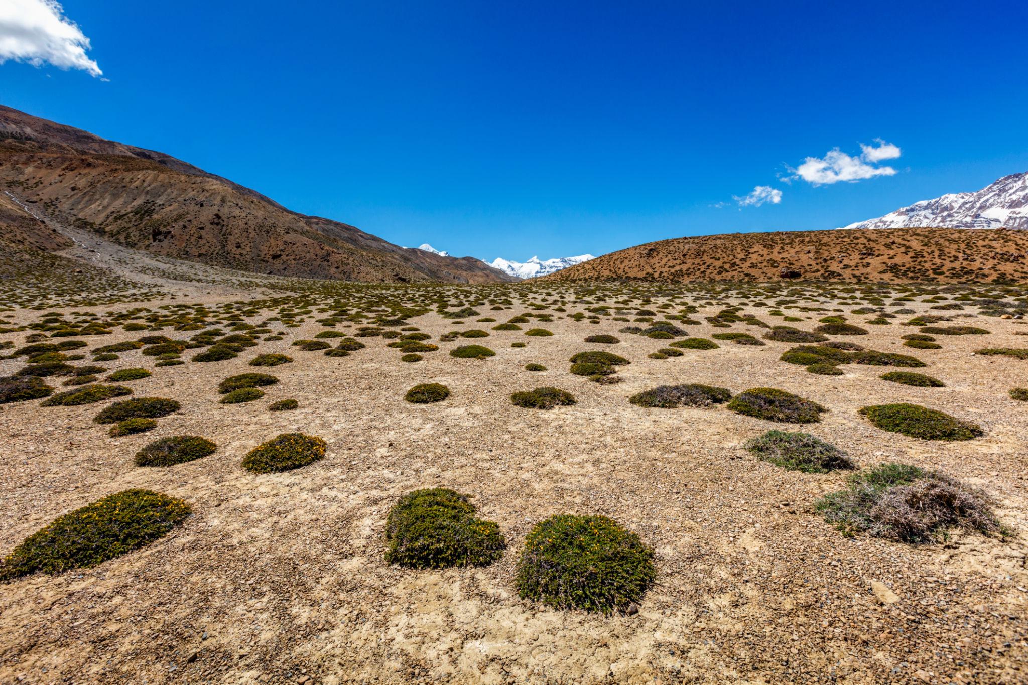 9 Days / 8 Nights Spiti Valley Tour with Chandratal