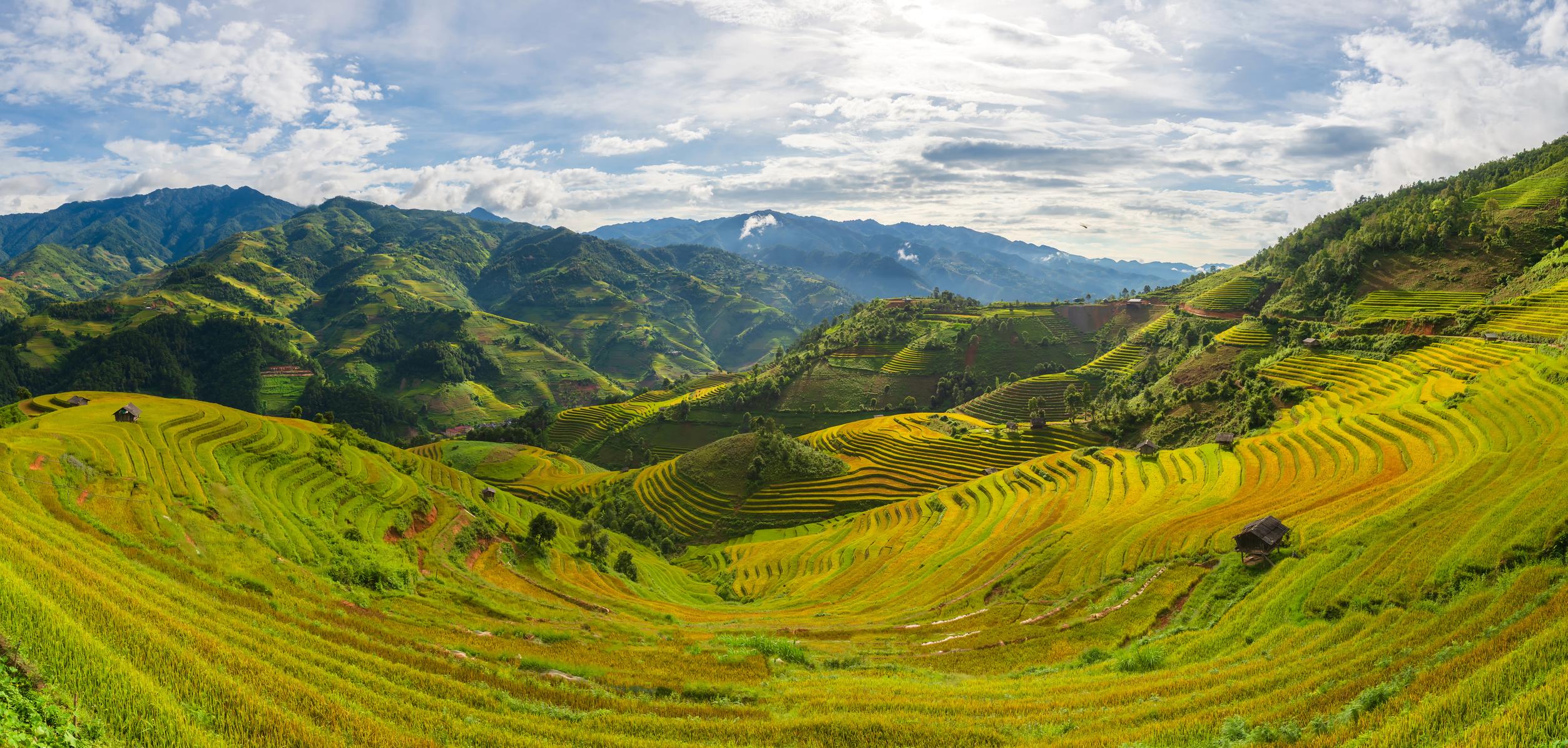 Vietnam Honeymoon Packages