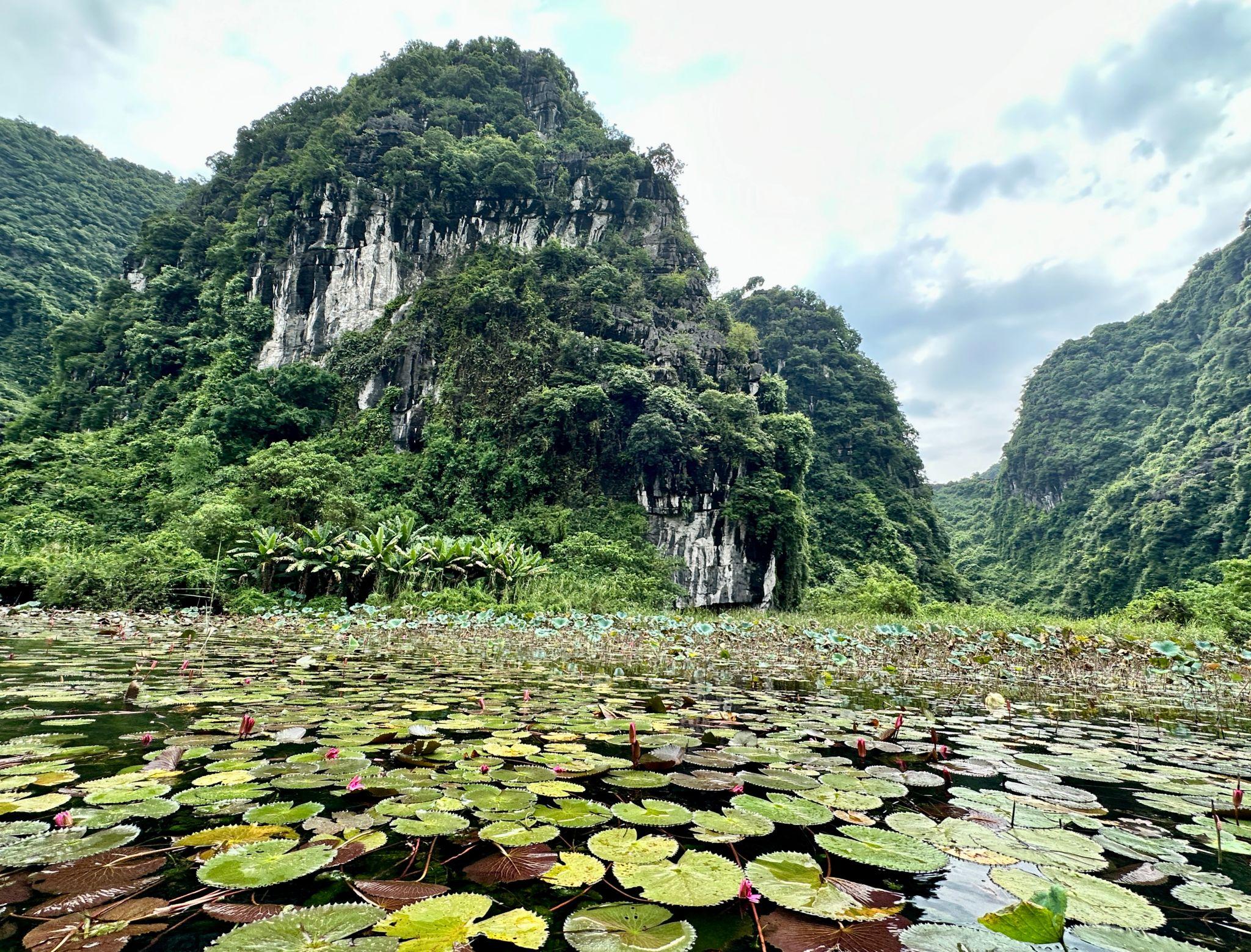 Vietnam Family Packages