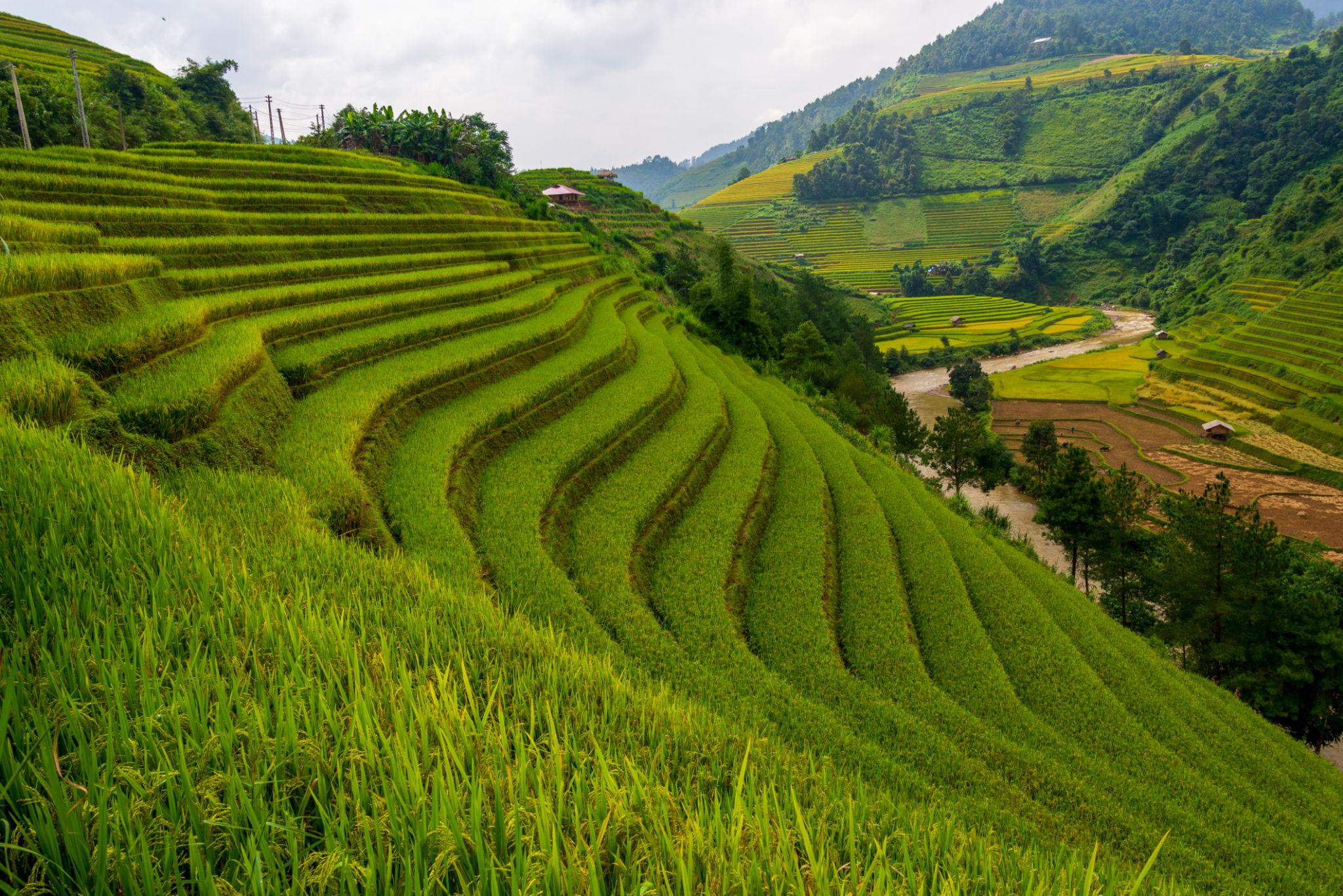 Vietnam Tour Packages